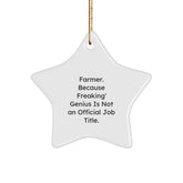 Funny Farmer Christmas Star Ornament - Gifts from Family to Farmer Men - Image 1